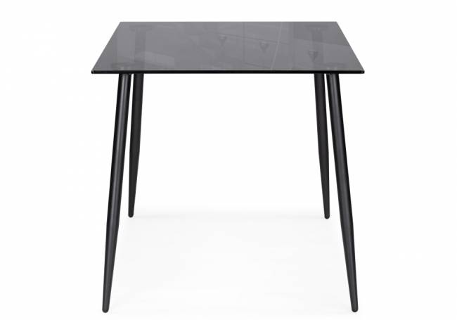 Smoke 120х80х75 clear gray / black