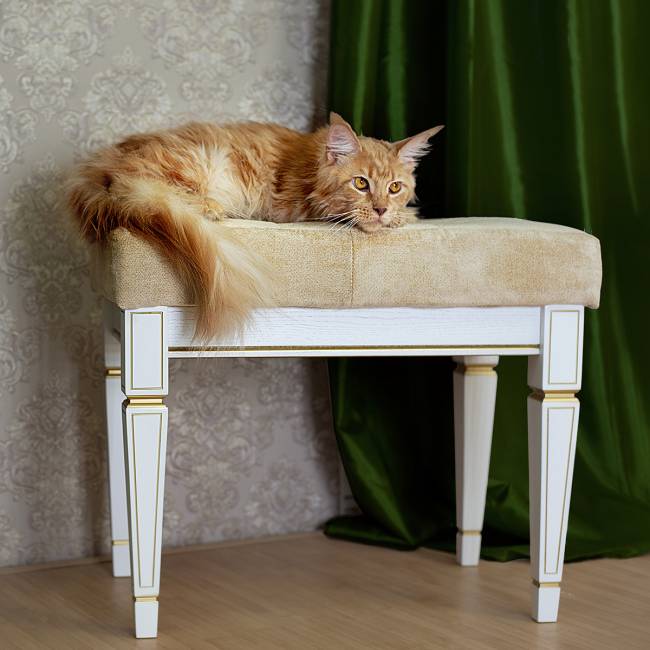 Банкетка Васко В 97Н белый ясень/золото